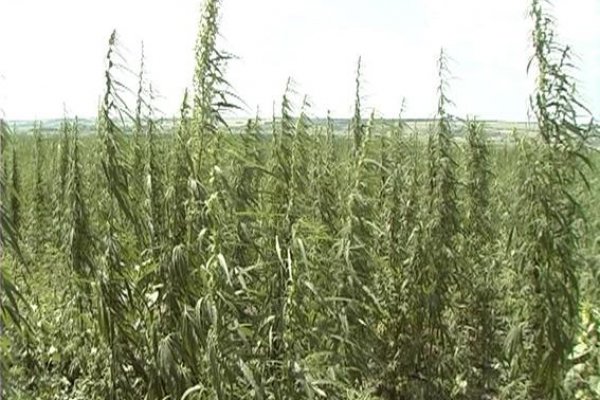 Ссылки на кракен блэкспрут