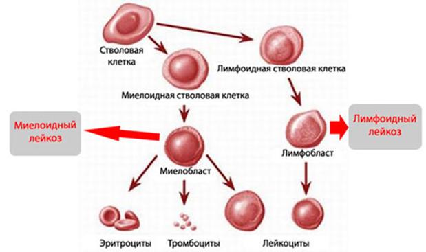 Как вернуть деньги с кракена