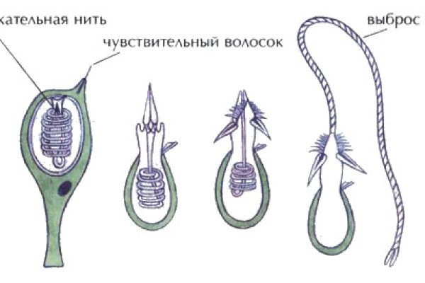 Кракен официальный сайт онион